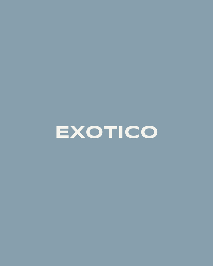 Café de perfil Exótico ideal para V60, Chemex, Aeropress y espresso.