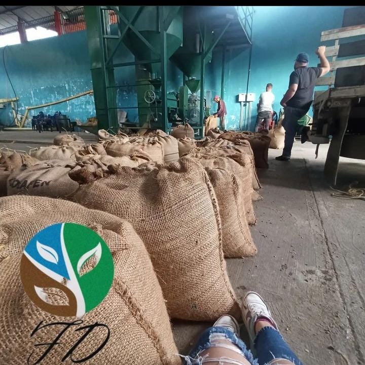 Bolsas de yute con café Los Naranjos Villanueva en bodega industrial de Mérida, Venezuela, con trabajadores y camión al fondo.