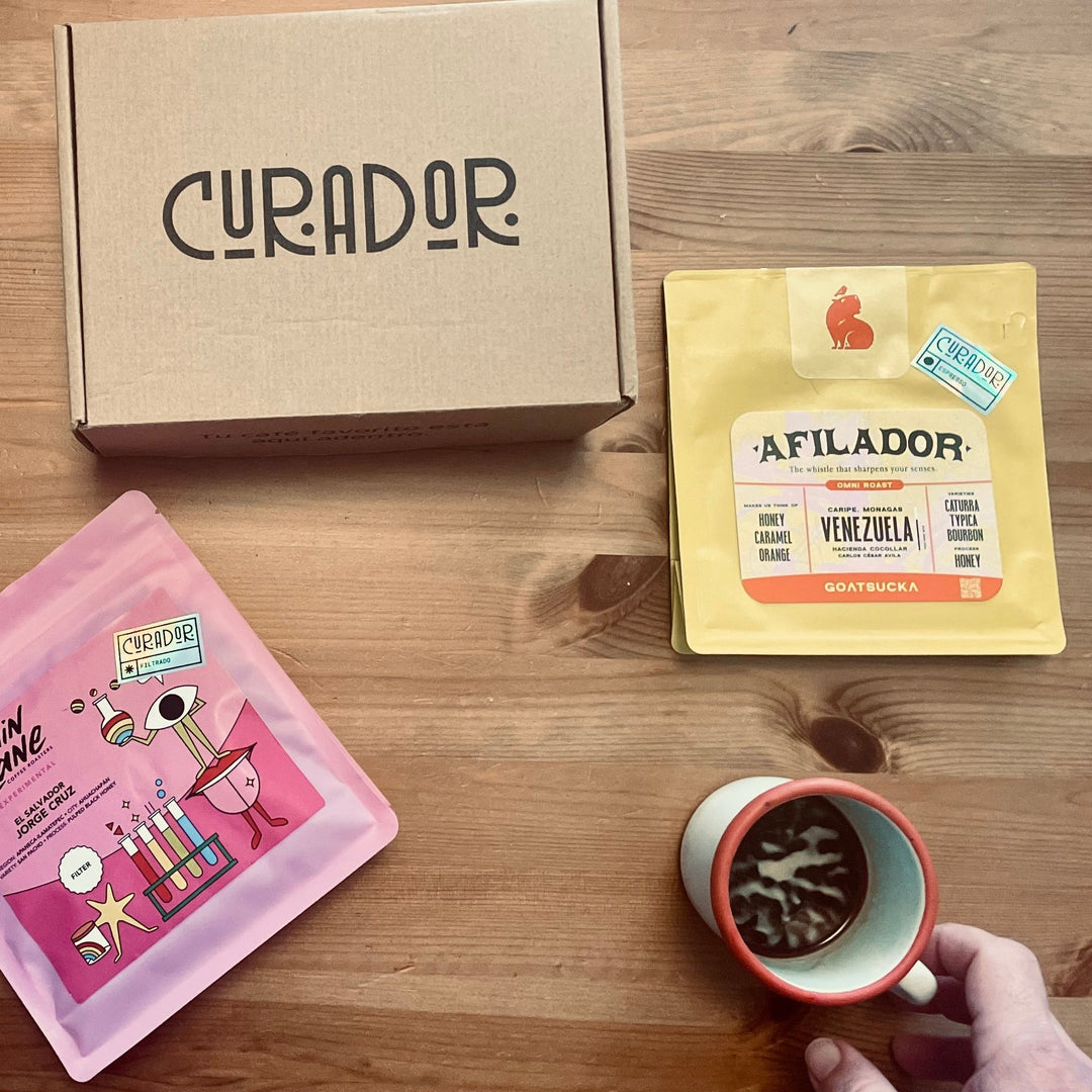 Caja de suscripción Curador con café en grano y molido de especialidad junto a una taza de café servido en mano sobre mesa de madera