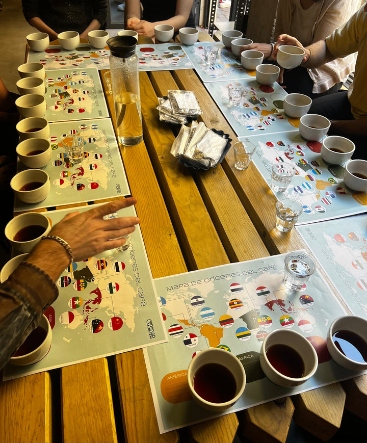 Sesión de degustación de café con mapas de orígenes y tazas sobre mesa de madera.
