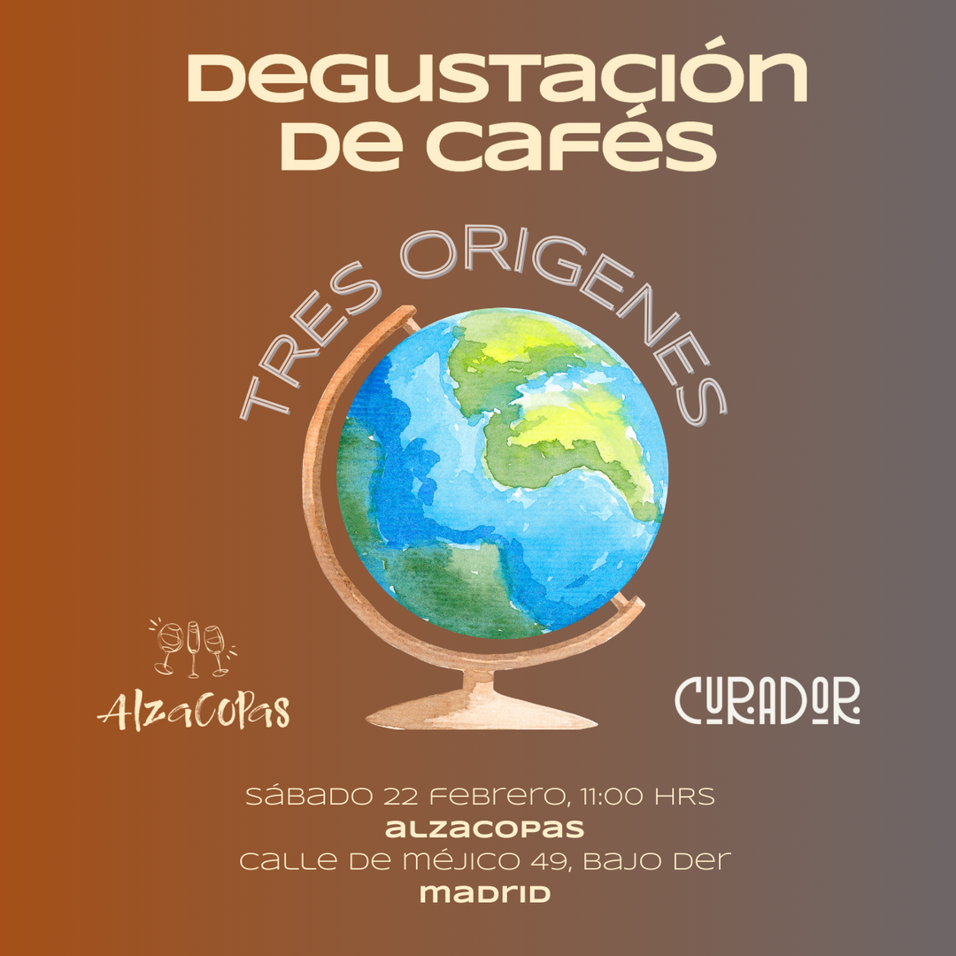 Degustación de Café Especialidad: Viaja a diferentes orígenes