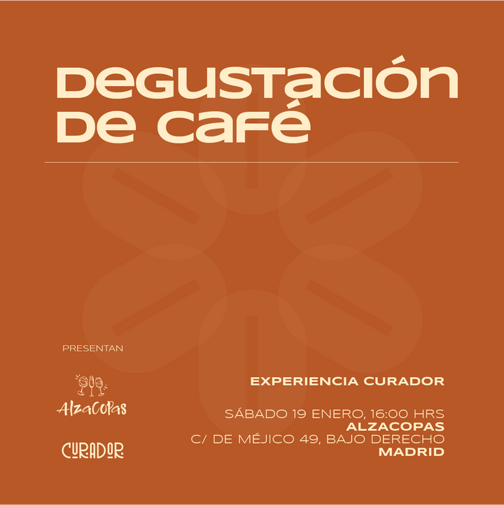 Degustación, Taller de Café Especialidad en Madrid